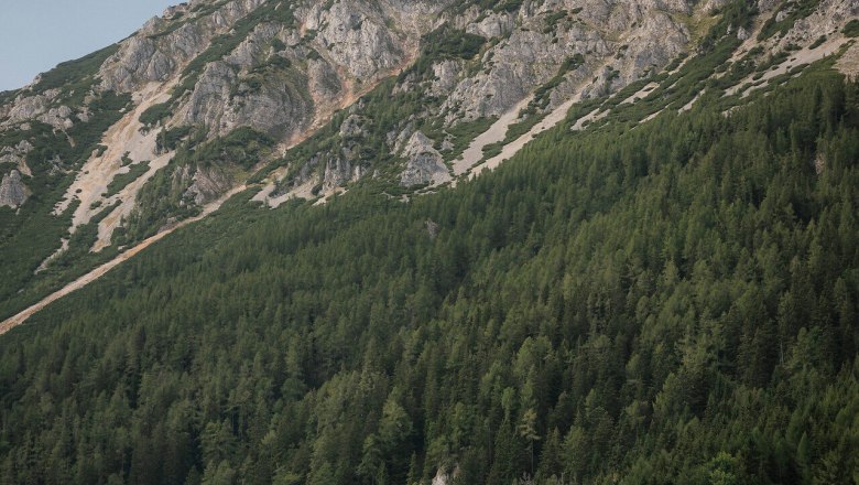 Edelweißhütte, Schneeberg, Hütte, Schneebergland, Wiener Alpen in Niederösterreich, © Wiener Alpen/Sophie Menegaldo Die Edelweißhütte am Schneeberg eingebettet zwischen Wald und Felsmassiv