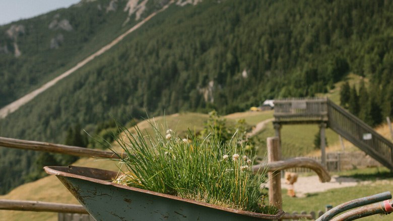 Almreserlhaus, Schneeberg, Hütte, Schneebergland, Wiener Alpen in Niederösterreich, © Wiener Alpen/Sophie Menegaldo Bepflanzte Schubkarre als Dekoration mit Bergpanorama beim Almreserlhaus am Schneeberg