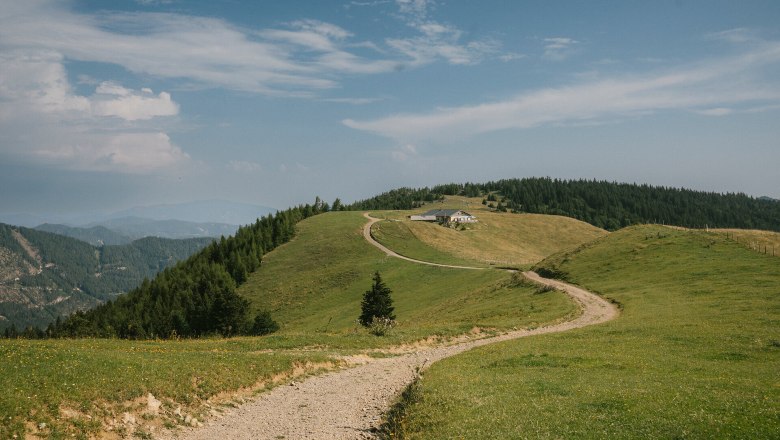 Almreserlhaus, Schneeberg, Hütte, Schneebergland, Wiener Alpen in Niederösterreich, © Wiener Alpen/Sophie Menegaldo Wanderweg durch die Almwiesen mit Blick auf das Almreserlhaus am Schneeberg