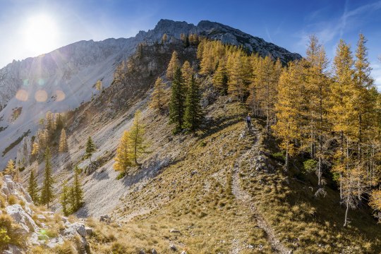 Der Fadensteig bei der Schneeberg Sesselbahn, © NB/Zwickl