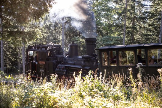 Der Dampfzug im Wald, © NB/Frühmann