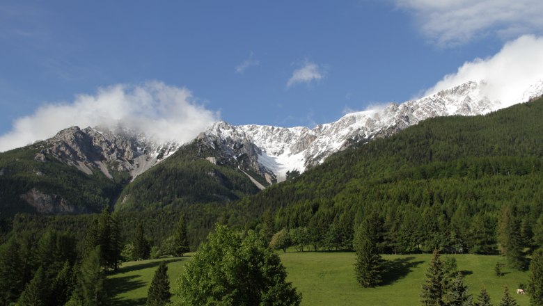 View of snow-covered mountains with green forests in the foreground and a blue sky.