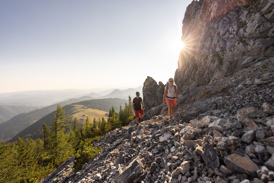 Wanderparadies am höchsten Berg Niederösterreichs, © NB/Frühmann