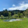 Landschaft mit Teich, Wiese und Burg im Hintergrund.