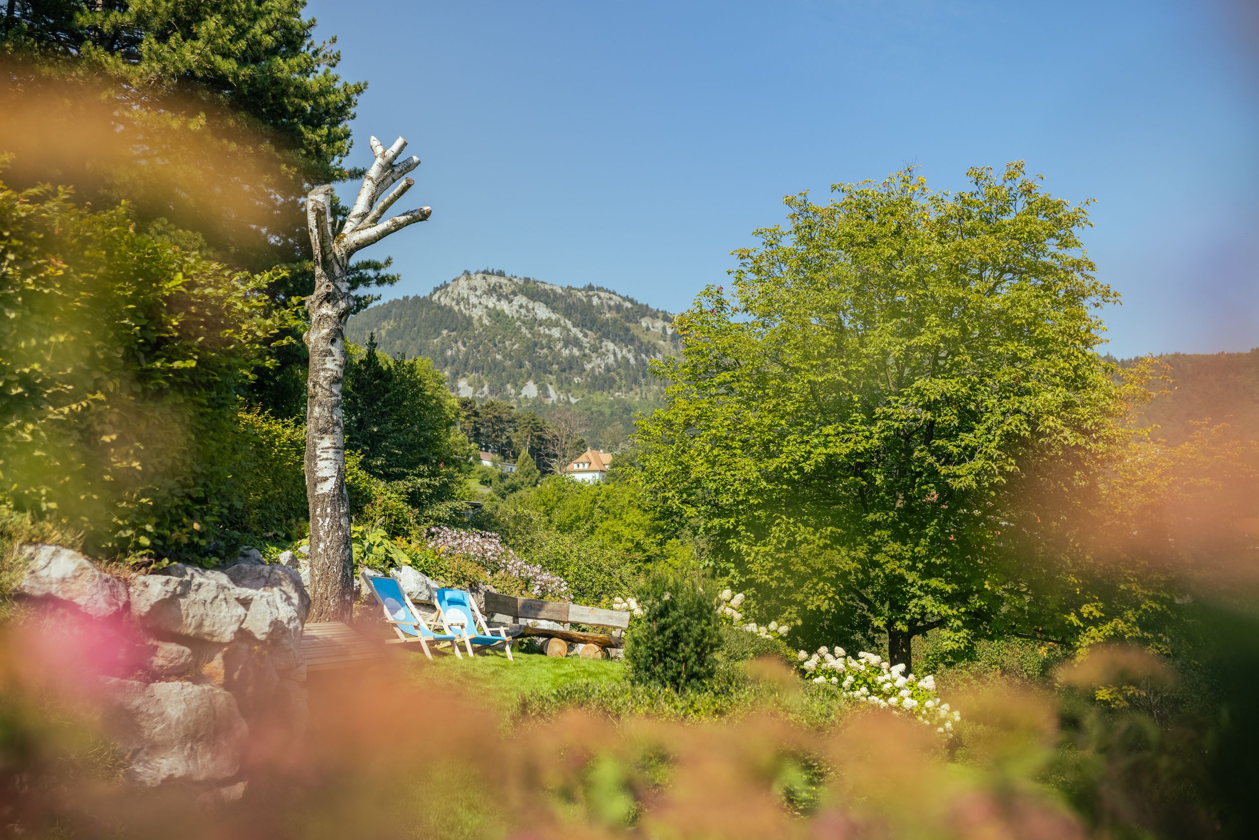 Ein Alpengarten mit Liegestühlen, Bäumen und einem Berg im Hintergrund.