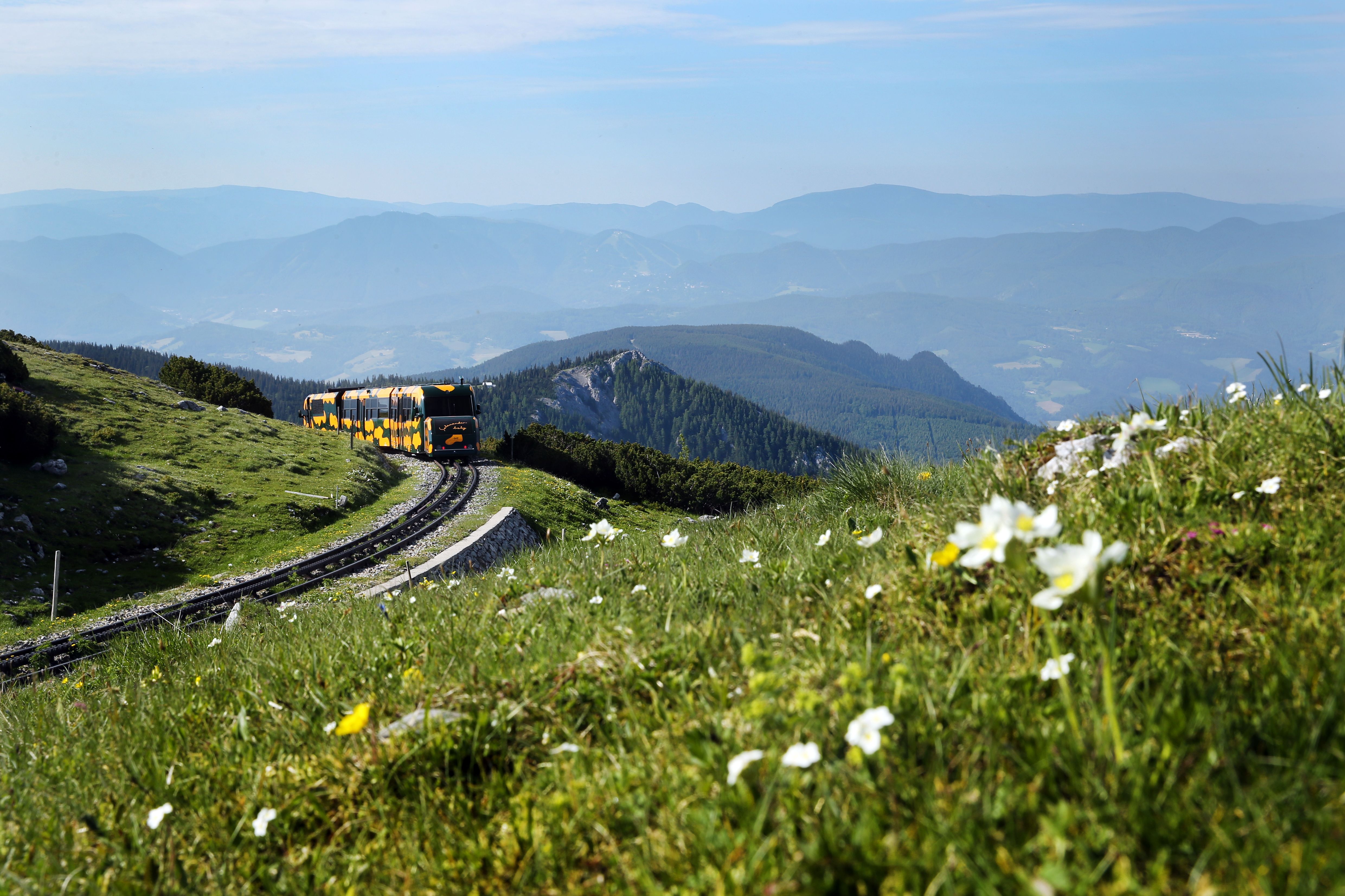 Bergbahn fährt auf Gleisen durch eine grüne Bergwiese mit Blumen vor einer Berglandschaft im Hintergrund