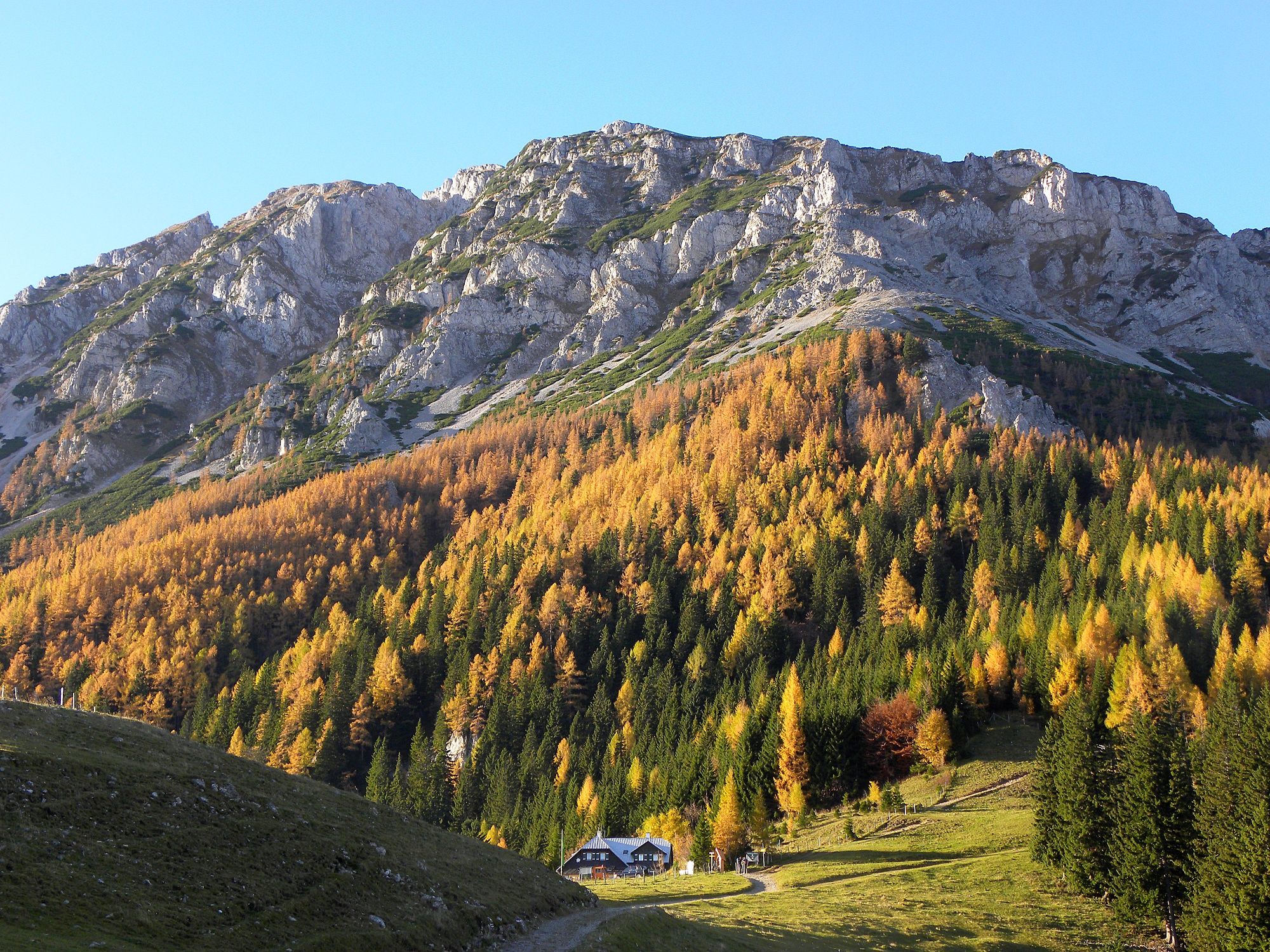 Edelweißhütte