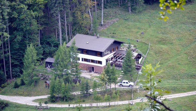 A large house in the forest with a car in front of it, surrounded by trees and meadows.