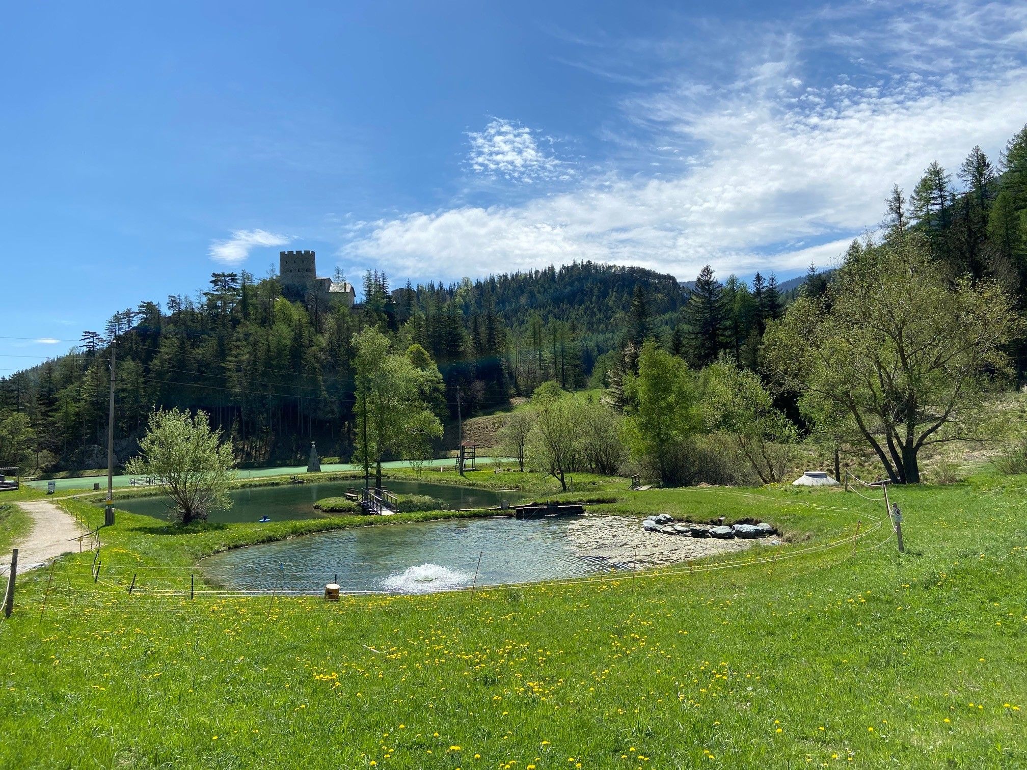 Landschaft mit Teich, Wiese und Burg im Hintergrund.