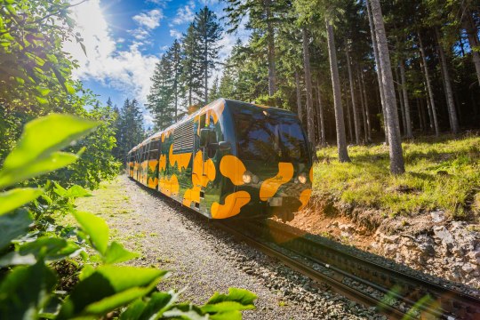 Der Salamander-Zug bei seiner Talfahrt, © NB/Stranz