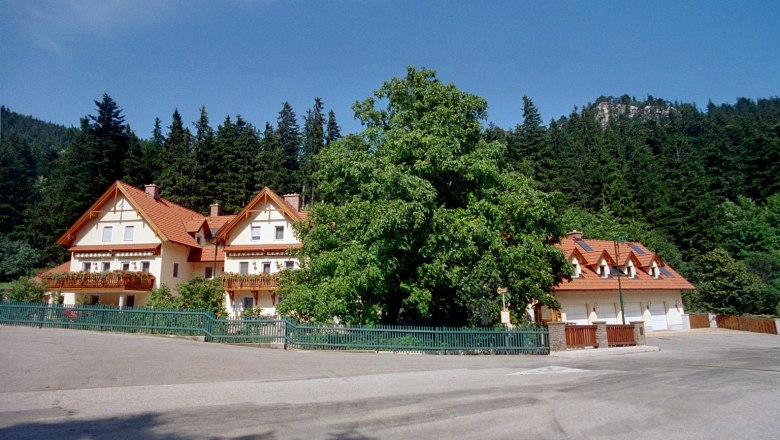 Egy nagy h&aacute;z piros tetővel &eacute;s erk&eacute;lyekkel, f&aacute;kkal k&ouml;r&uuml;lv&eacute;ve, a h&aacute;tt&eacute;rben erdővel.