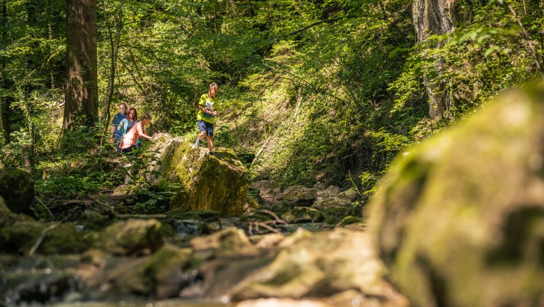Familie wandert in der Johannesbachklamm, umgeben von &uuml;ppigem Gr&uuml;n und Felsen.