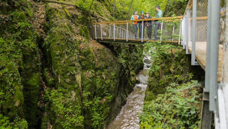 Eine Gruppe von Menschen steht auf einem Steg &uuml;ber einer bewaldeten Schlucht mit einem Bach.