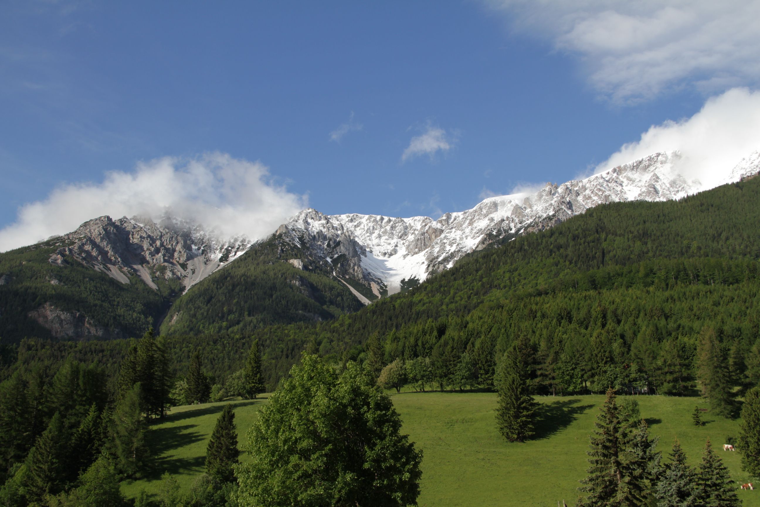 Blick auf schneebedeckte Berge mit grünen Wäldern im Vordergrund und blauem Himmel.