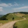Wanderweg durch die Almwiesen mit Blick auf das Almreserlhaus am Schneeberg
