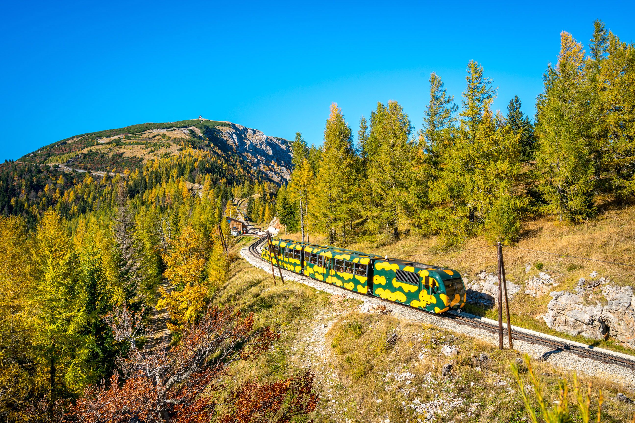 Zug mit gelb-grüner Tarnlackierung fährt auf Gebirgsbahn durch herbstlichen Nadelwald mit Berg im Hintergrund