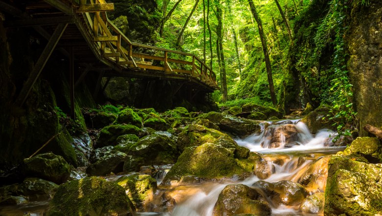 Johannesbach Gorge, © Wiener Alpen/Christian Kremsl