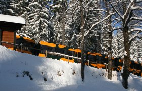 Mit der Schneebergbahn durch die schönsten Winterlandschaften, © NB