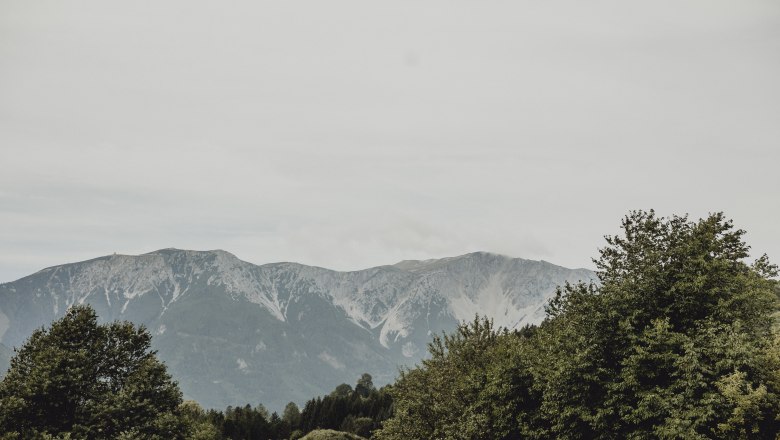 A Schneeberg l&aacute;tk&eacute;pe z&ouml;ld f&aacute;kkal az előt&eacute;rben.