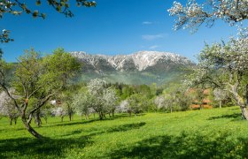 Schneeberg im Frühling, © NÖVOG/Zwickl