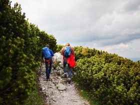 Auf dem schmalen Pfad zwischen &uuml;ppigem Gr&uuml;n und sanften H&uuml;geln wandern zwei Abenteurer in die H&ouml;he. Die frische Bergluft und die majest&auml;tische Kulisse der Wiener Alpen laden dazu ein, die Seele baumeln zu lassen und die Sch&ouml;nheit der Natur zu genie&szlig;en.