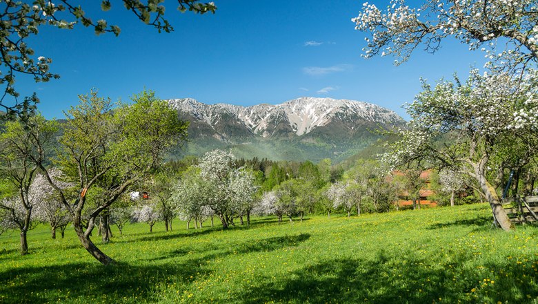 Schneeberg im Frühling, © NÖVOG/Zwickl