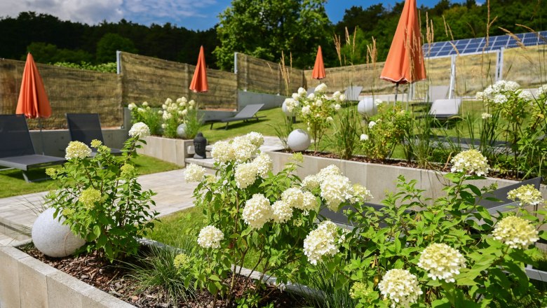 Terrassengarten mit wei&szlig;en Blumen, Liegest&uuml;hlen und orangefarbenen Sonnenschirmen.