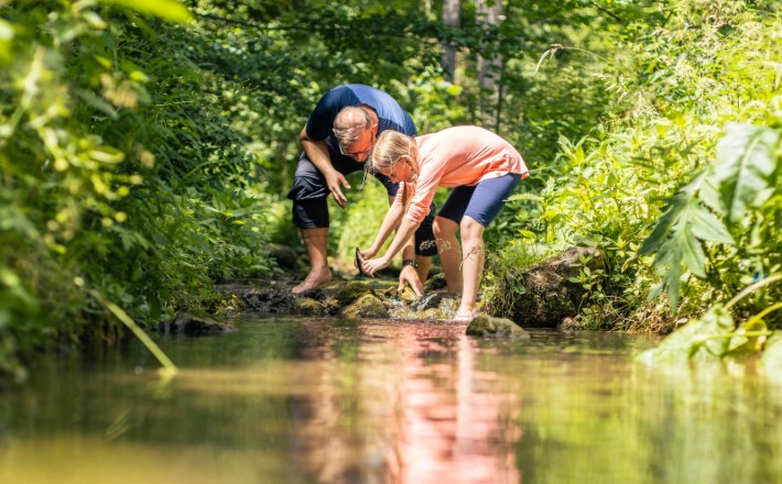 Zwei Personen beugen sich &uuml;ber einen Bach in einem gr&uuml;nen Wald.