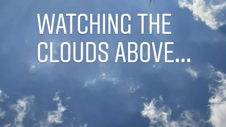 A fűben fekve, &copy; Scheibenreif Karin