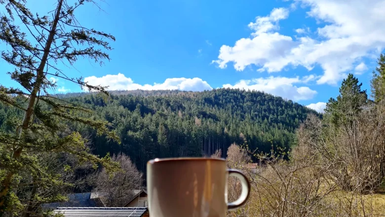 A cup stands on a railing with a view of wooded hills and blue sky.