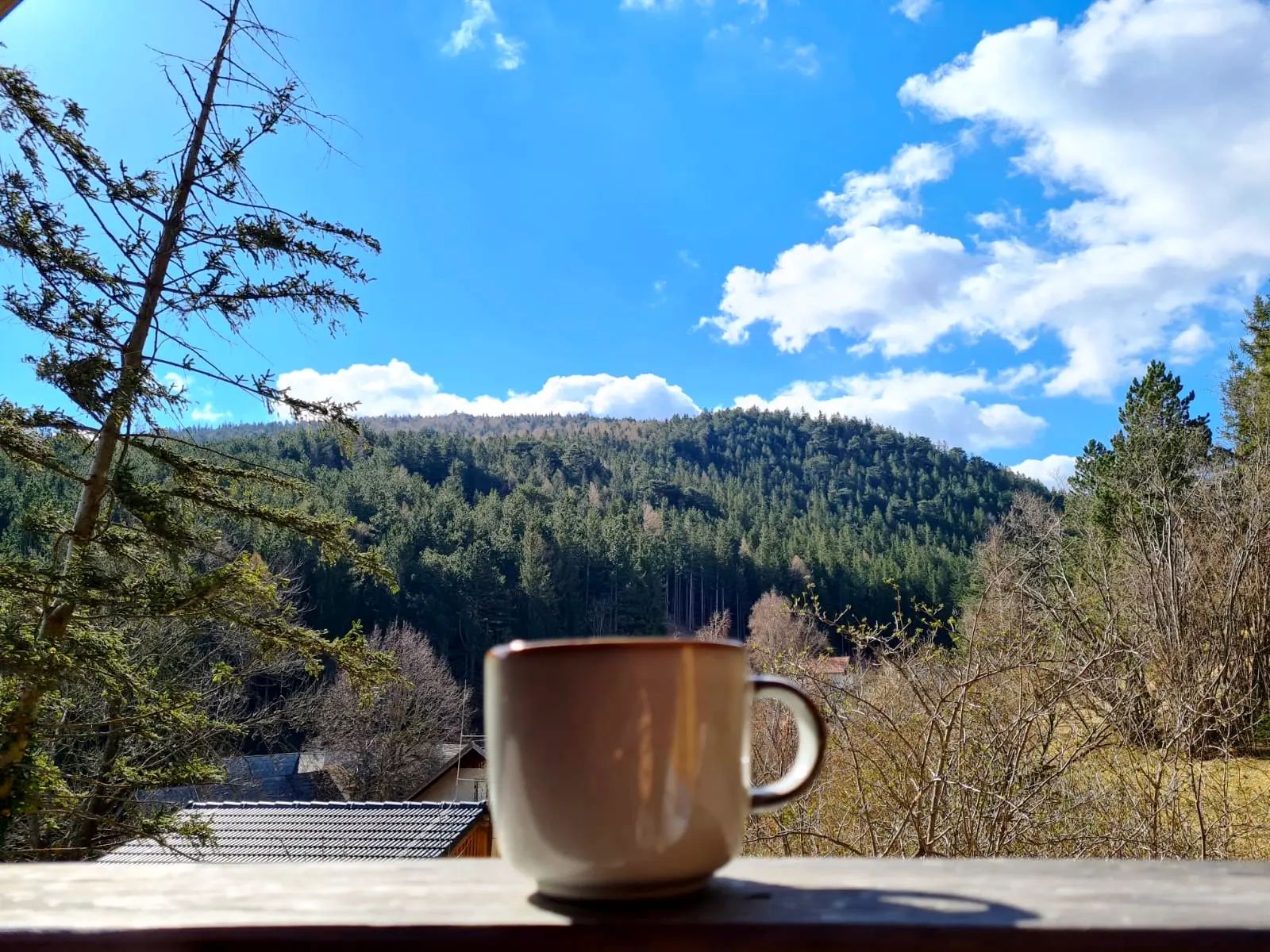 Eine Tasse steht auf einem Geländer mit Blick auf bewaldete Hügel und blauen Himmel.