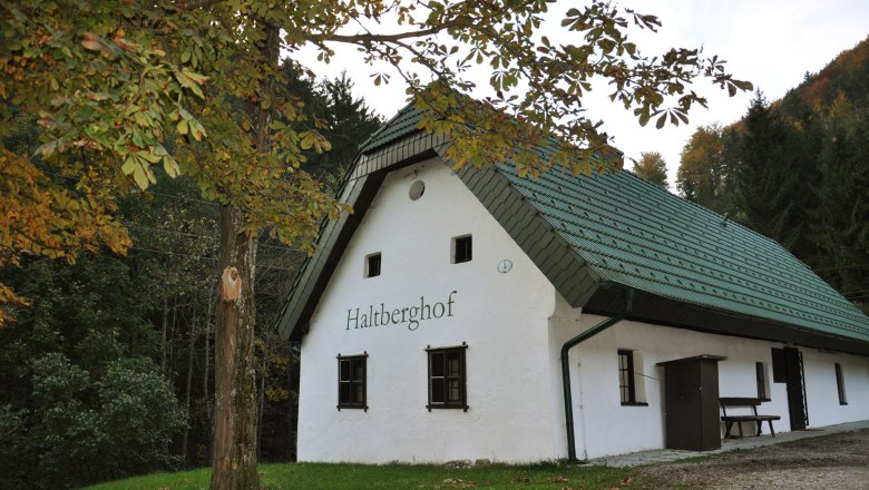 Ferienhaus Haltberghof, © Claudia Alber Weißes Ferienhaus mit grünem Dach im Wald, beschriftet mit 'Haltberghof'.