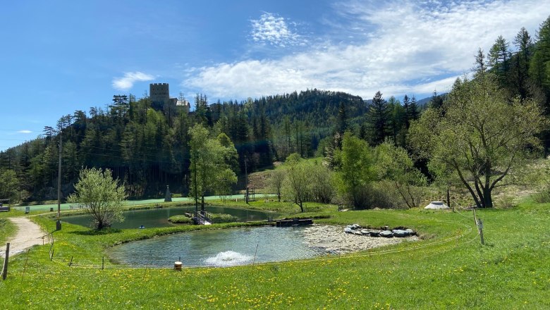Landscape with pond, meadow and castle in the background.